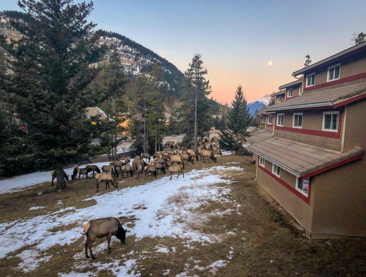 Hi Banff Alpine Centre - Hostel Luaran gambar